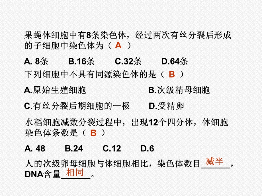 细胞分裂复习课.ppt_第2页