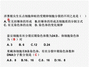 细胞分裂复习课.ppt