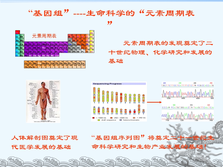 基因组测序的原理与方法.ppt_第2页