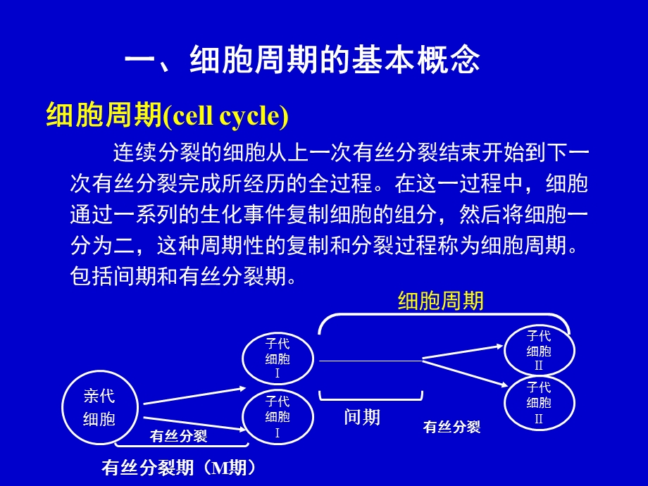 医学细胞生物学细胞周期及其调控细胞周期本科.ppt_第2页