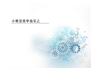 小额贷款审查审批要点.ppt