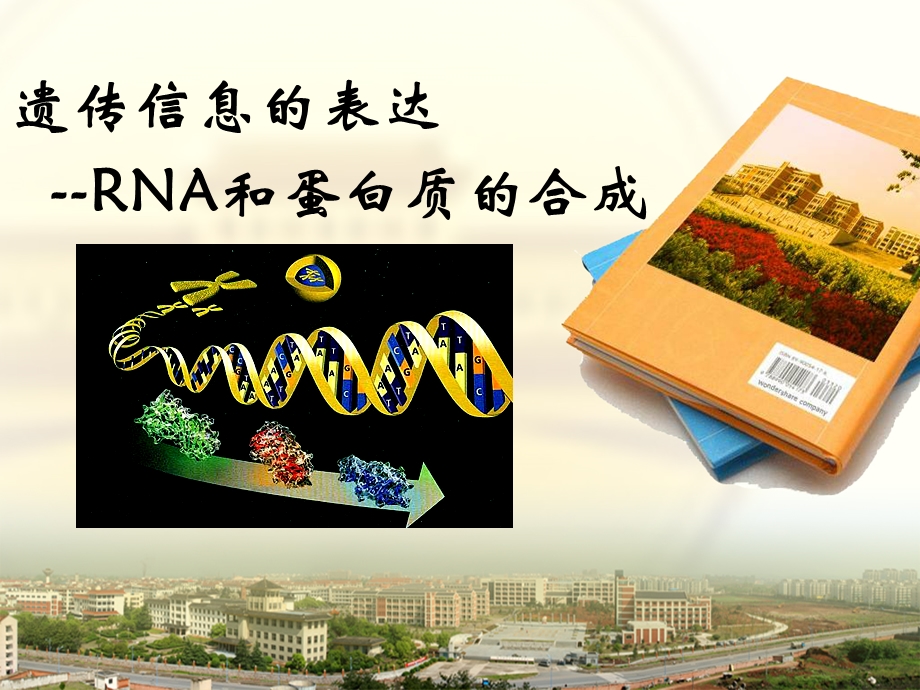 第四节遗传信息的表达RNA和蛋白质的合成.ppt_第1页