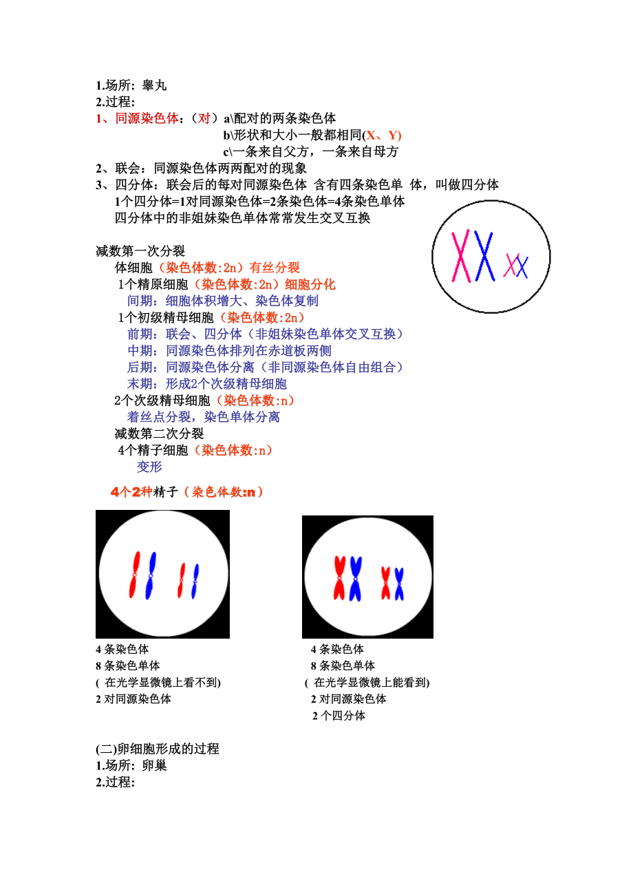 2.1减数分裂和受精作用教案2.doc_第2页