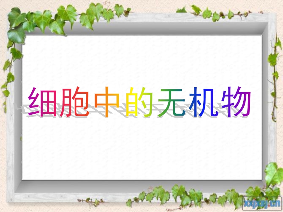 细胞中的无机物ppt.ppt_第1页