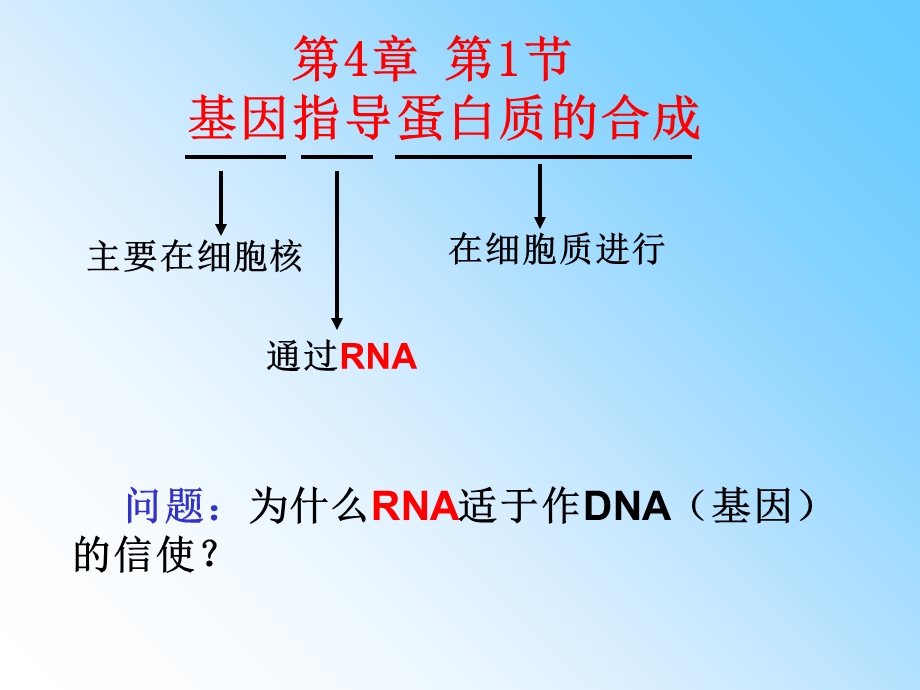 导蛋白质合成的过.ppt_第2页