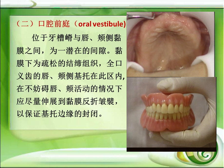 口无牙颌解剖标志的识别.ppt_第3页