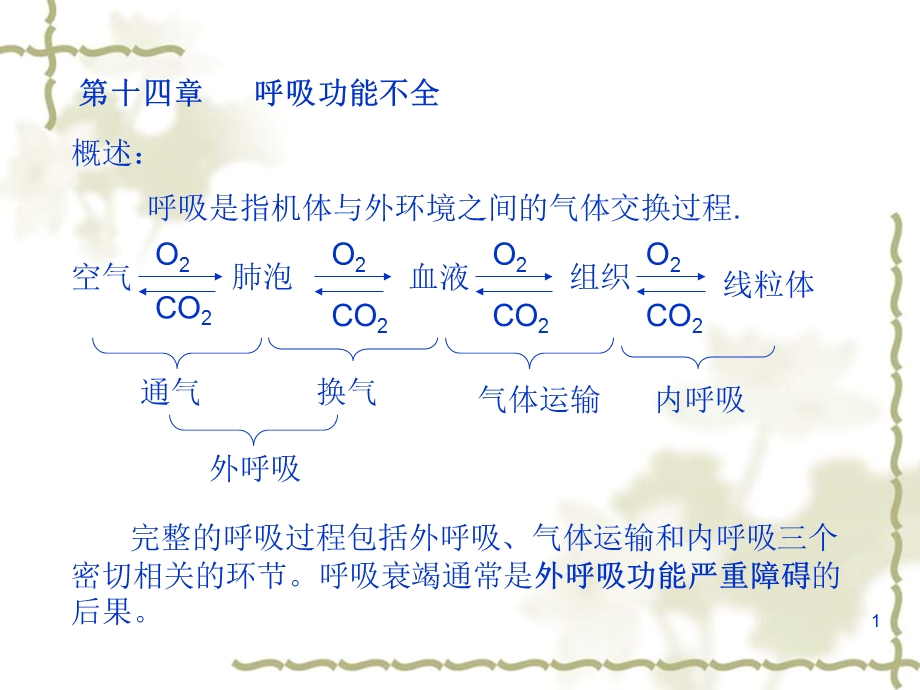 第十四章呼吸功能不全.ppt_第1页