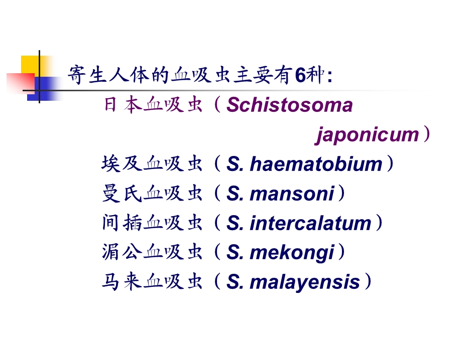 日本血吸虫.ppt_第2页