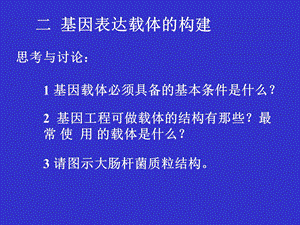 基因表达载体构建.ppt