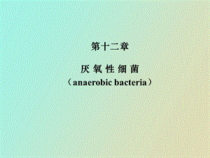 厌氧菌、分枝杆菌、棒状杆菌.ppt