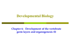 VI 胚层发育与器官系统发生(I).ppt