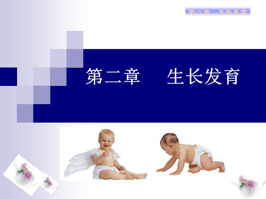 儿科护理学第二章生长发育.ppt_第1页