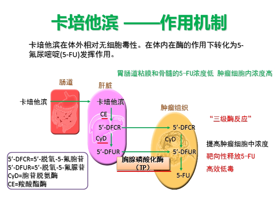 卡培他滨消化道肿瘤用药策略.ppt_第3页