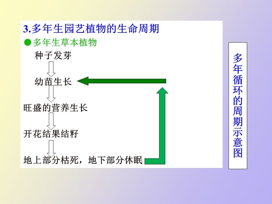 园艺植物的生物学特性.ppt_第3页