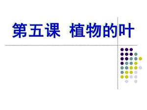 小学科学三年级上册植物的叶.ppt