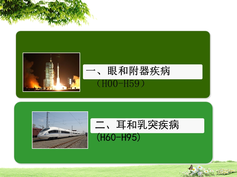 王振娟：国际疾病分类编码员培训(ICD10眼和耳疾病章节).ppt_第3页