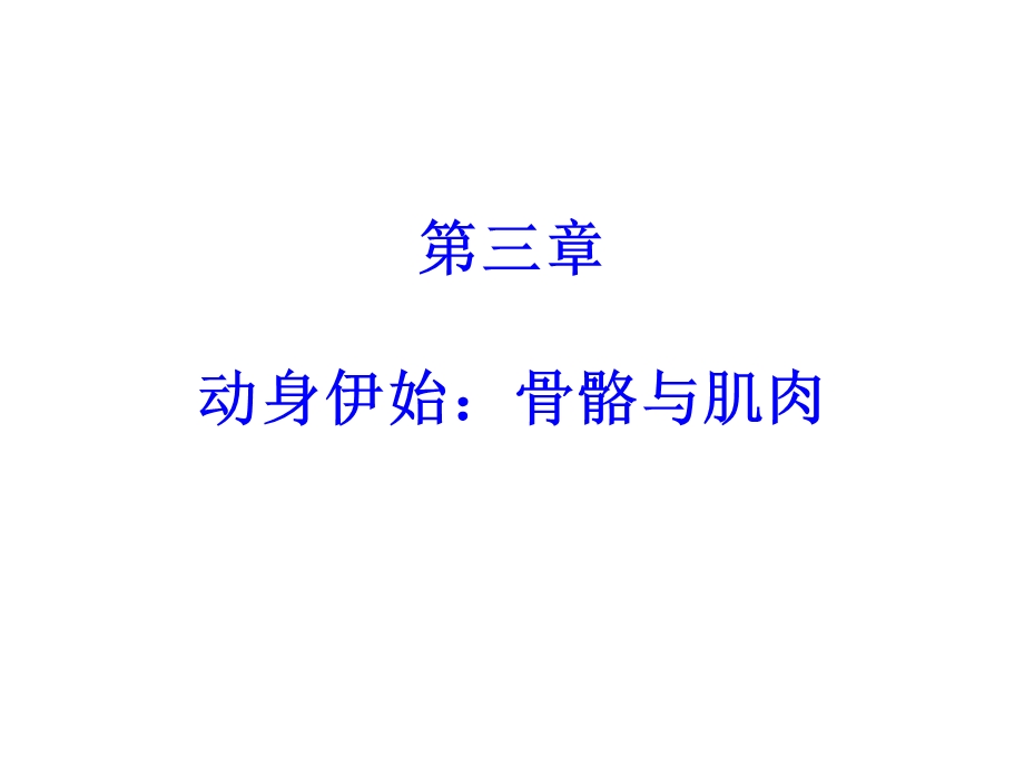 动身伊始骨骼与肌肉.ppt_第2页