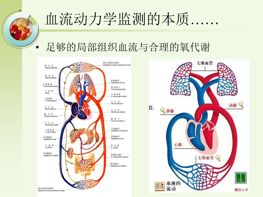 无创血流动力学的监测ppt课件.ppt_第2页