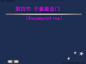 第四部分子囊菌亚门Ascomycotina教学课件.PPT