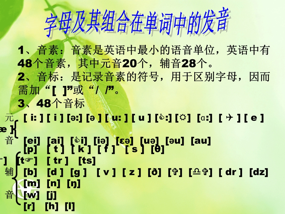 字母及其组合在单词中的发音规则.ppt_第1页