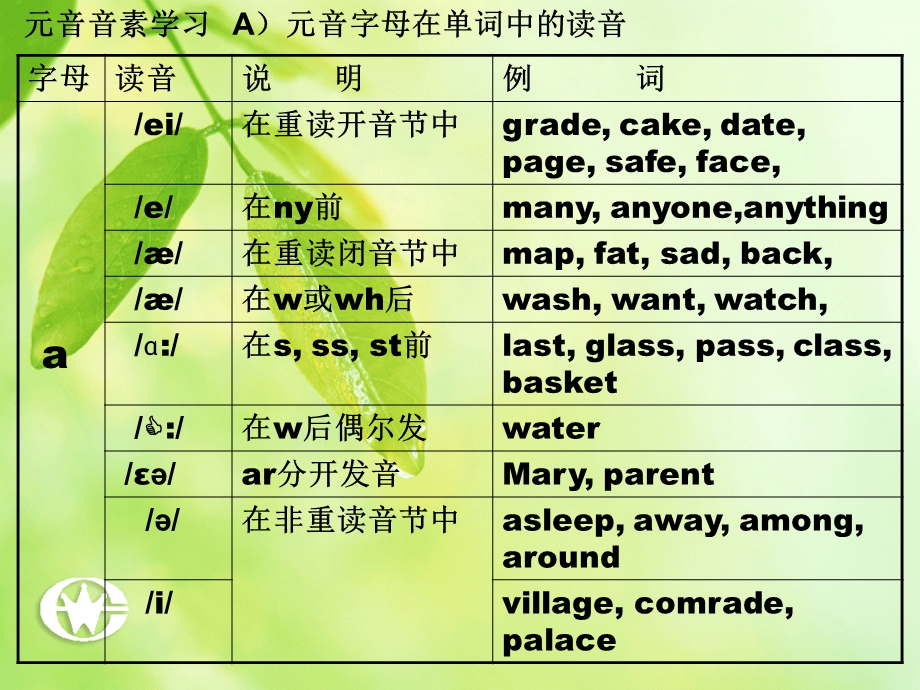 字母及其组合在单词中的发音规则.ppt_第3页