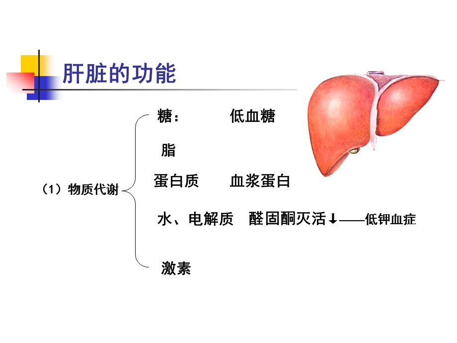 第十三章肝功能不全.ppt_第3页