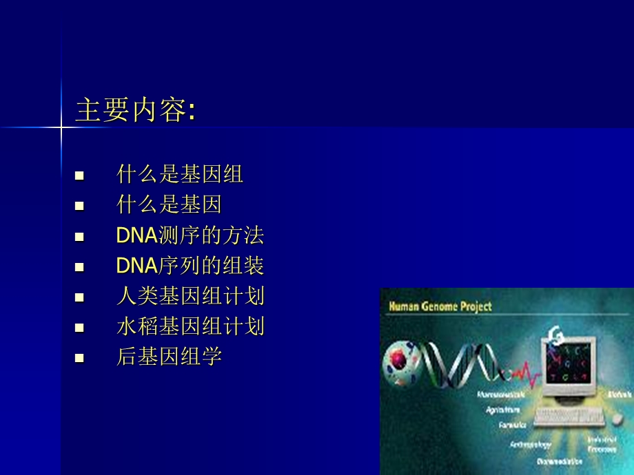 基因组测序与序列组装.ppt_第2页