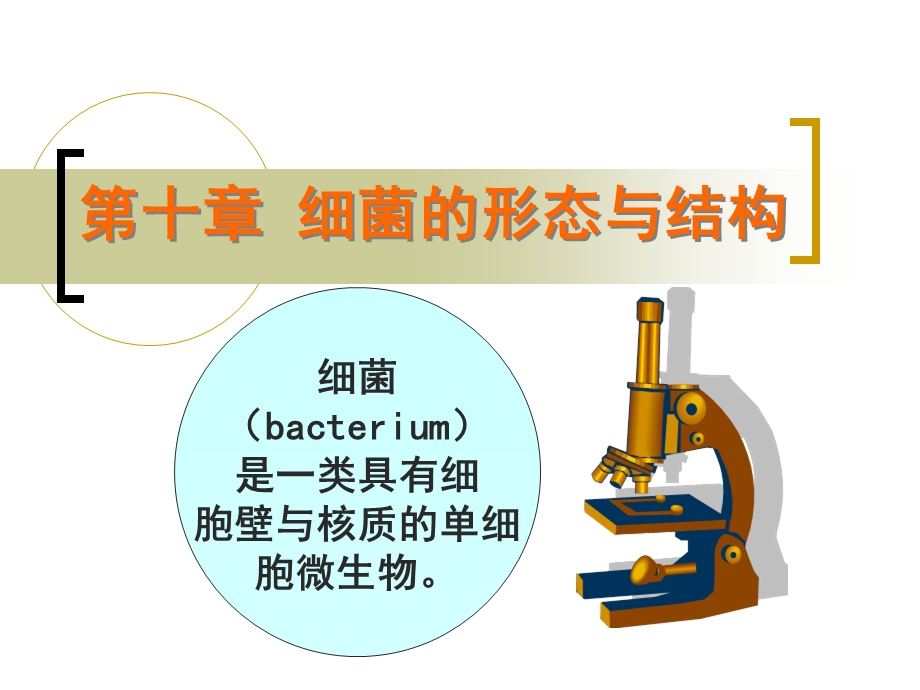 第十章细菌的形态与结构.ppt_第1页