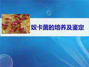 奴卡菌的培养与鉴定.ppt