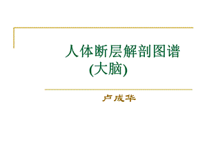 体断层解剖图谱.ppt