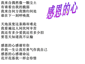 轮椅上的霍金课件.ppt