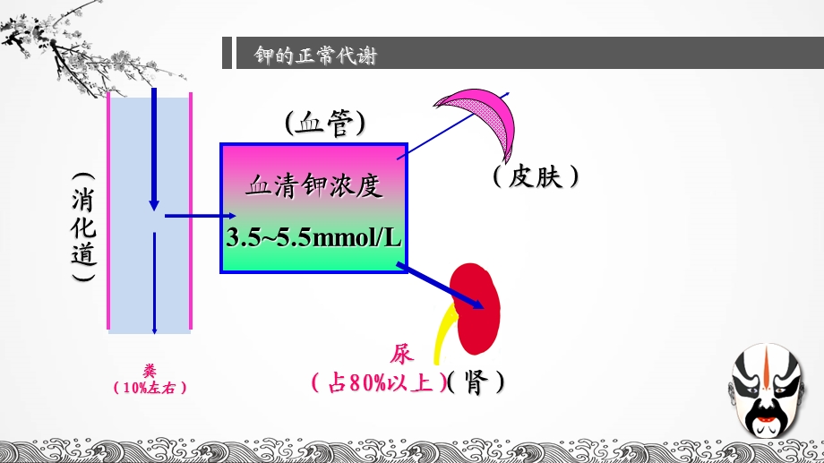 低钾和高钾血症的护理.ppt_第3页