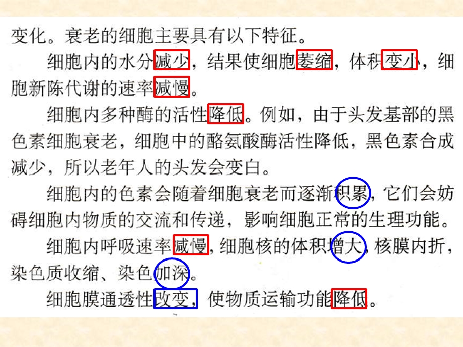 细胞衰老、凋亡和癌变.ppt_第3页