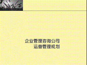 咨询公司运营管理规划.ppt