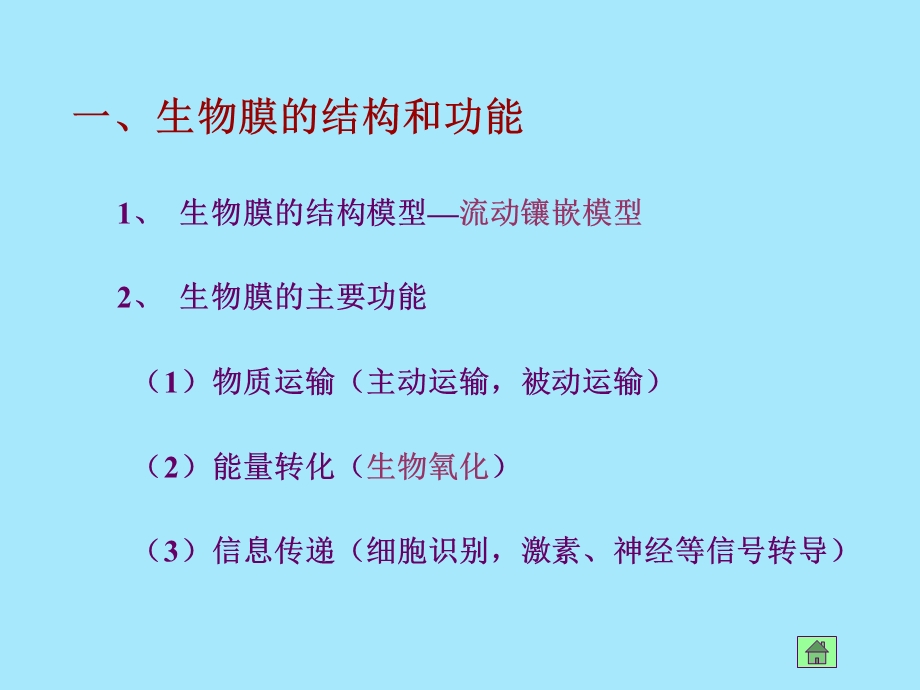 基础生物化学课件考研重点总结.ppt_第2页