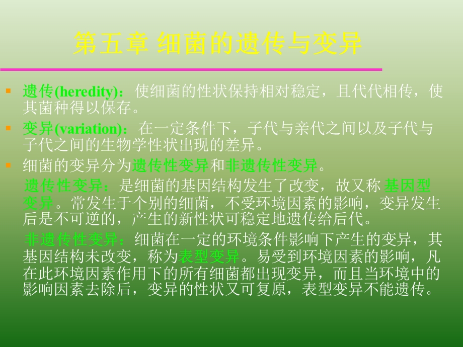 第五细菌的遗传与变异.ppt_第1页