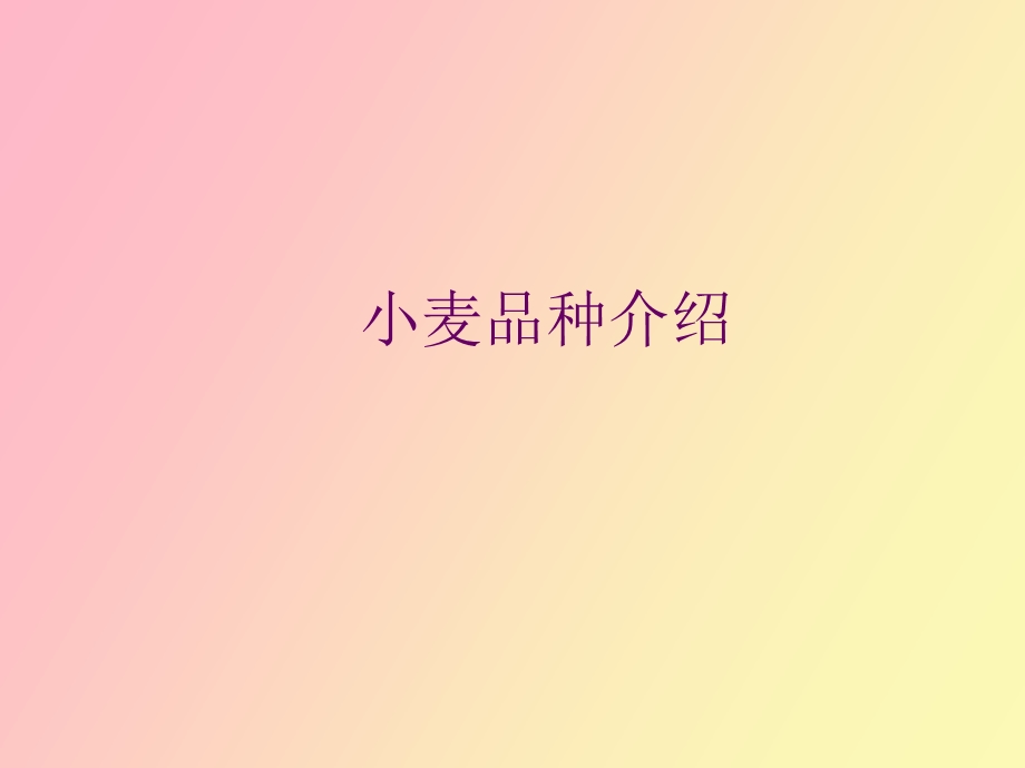 小麦品种介绍.ppt_第1页