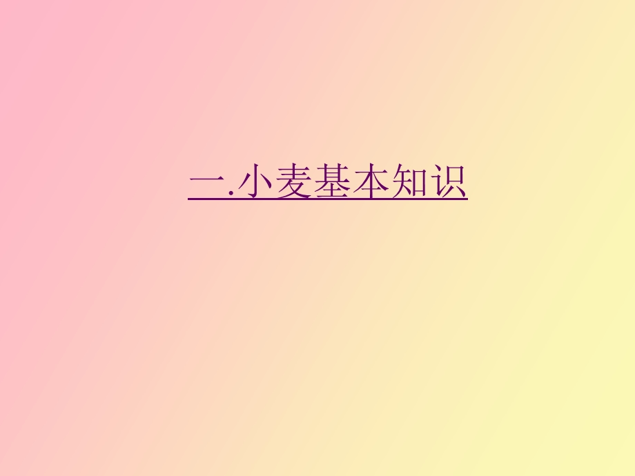 小麦品种介绍.ppt_第3页