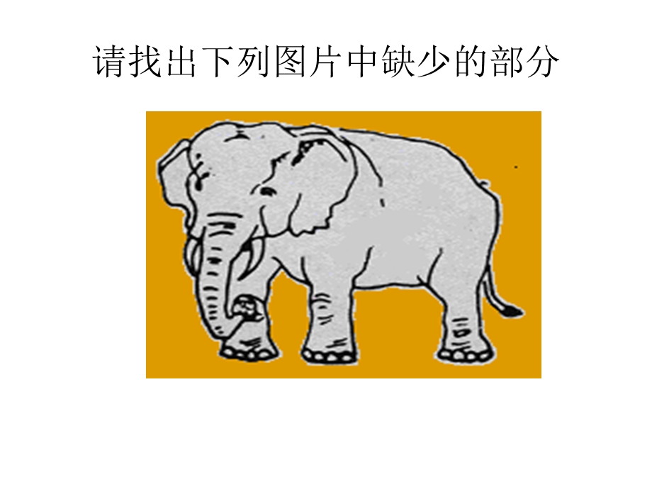 儿童观察力的训练.ppt_第3页