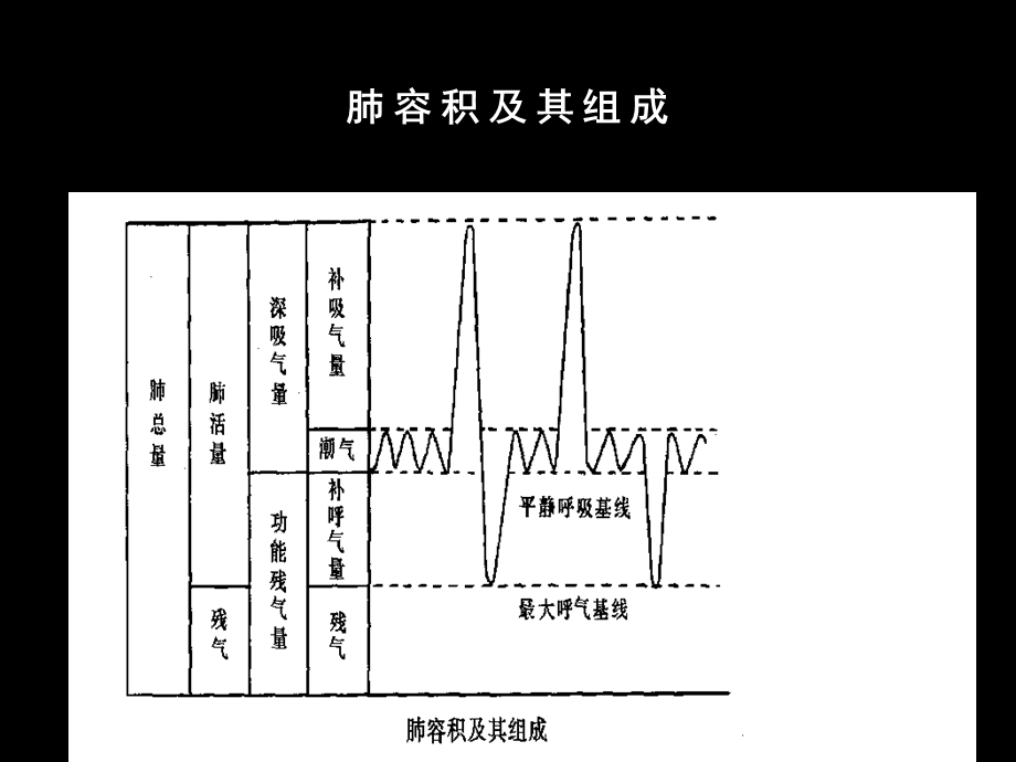 肺功能检查在社区的应用教学课件.ppt_第3页