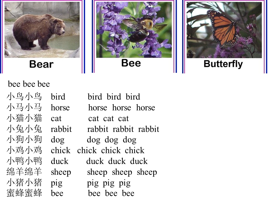 小学英语课件-动物.ppt_第2页