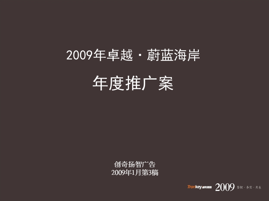 卓越年度推广活动案.ppt_第2页