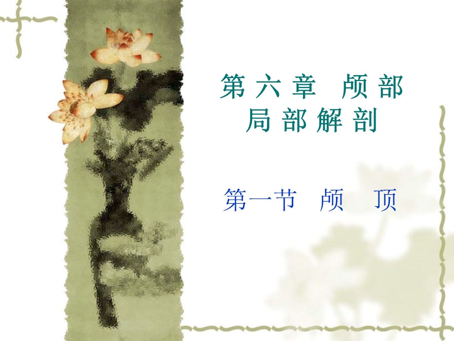 颅脑局解剖.ppt_第1页