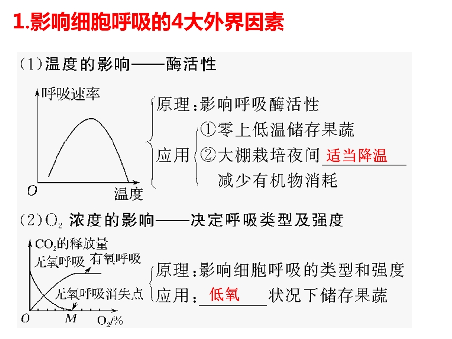 光合作用和呼吸作用影响因素.ppt_第2页