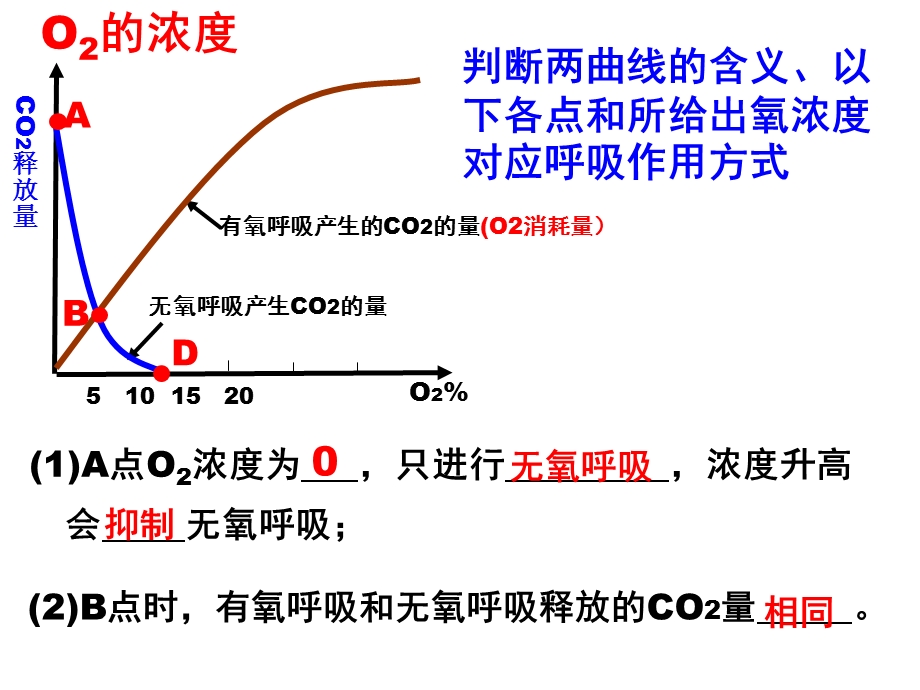 光合作用和呼吸作用影响因素.ppt_第3页