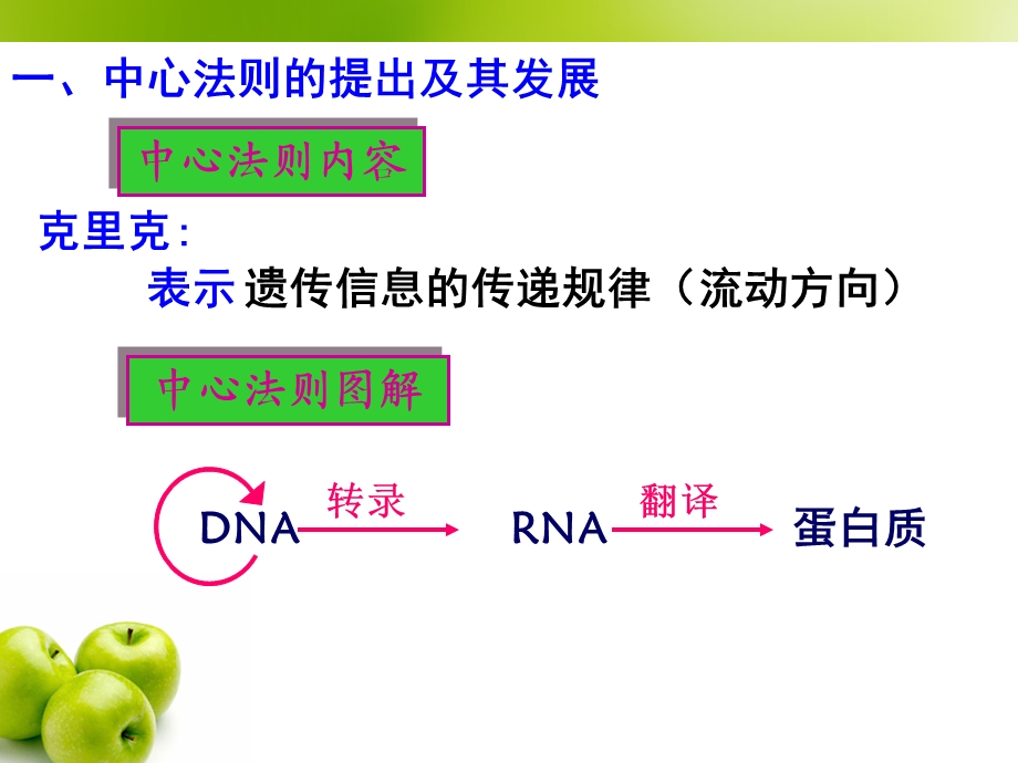 王英基因对性状的控制.ppt_第3页