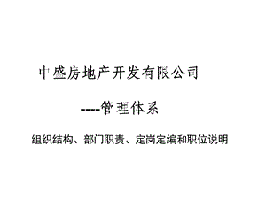 中盛房地产管理体系(组织架构职能、定岗定编和职位说明)报告(100页).ppt