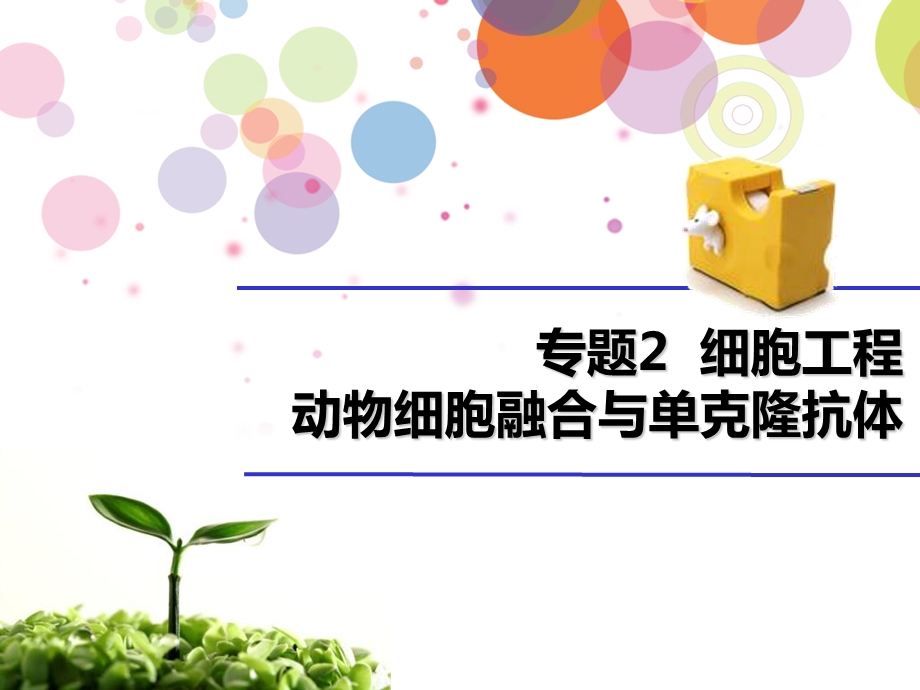 动物细胞融合单克隆抗体.ppt_第1页