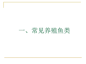 常见养殖鱼类图片.ppt