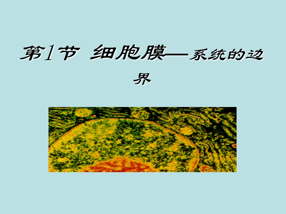 第节细胞膜系统的边界.ppt_第1页